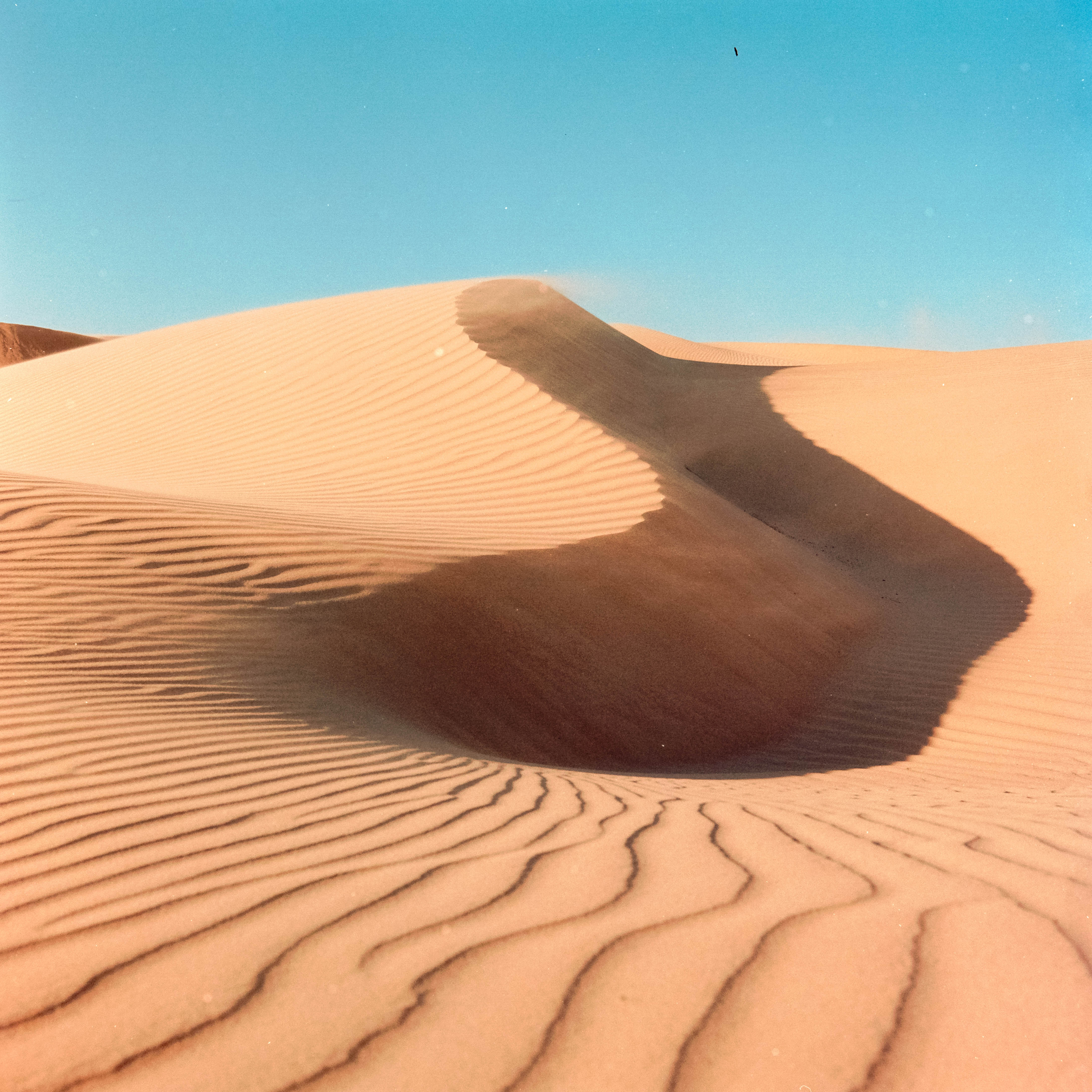 Dunes in Pismo Beach, California